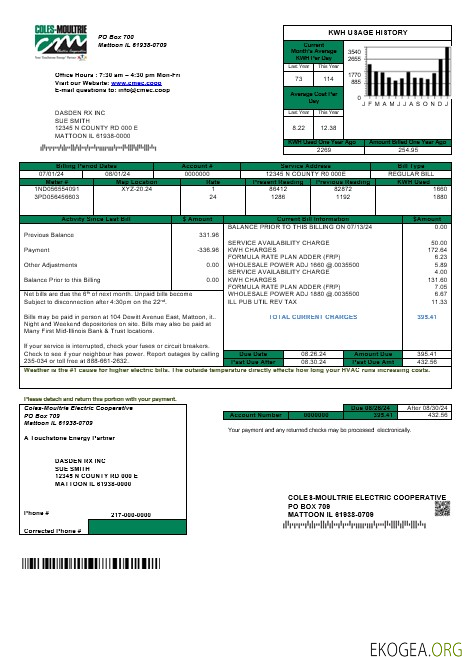 USA Coles – Modèle de facture de services publics de Moultrie aux formats Word et PDF